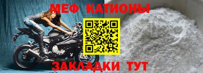 прущие грибы Будённовск