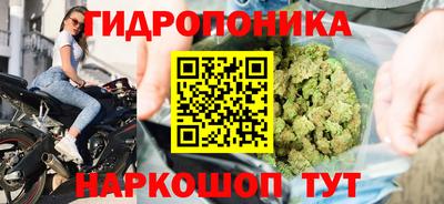 прущие грибы Будённовск