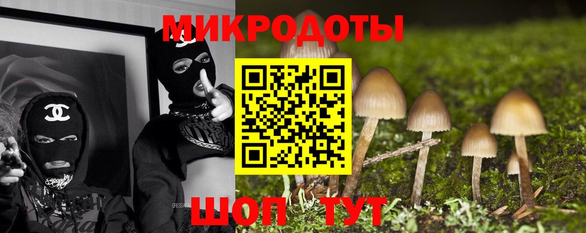 где можно купить наркотик  Псилоцибиновые грибы прущие грибы  Галлюциногенные грибы Psilocybe  Вход с VPN  Новокуйбышевск 